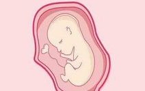 2026长春市口碑比较好的助孕公司名单，7家技术好的机构全在这里