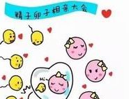 三分钟了解泰国试管婴儿的胚胎分类附适合养囊的人群