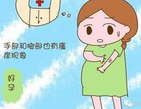 2026年机构去金门做试管费用成本，试管详细流程介绍